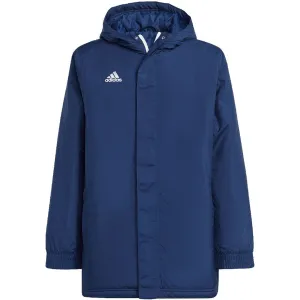 Adidas Entrada 22 Stadium Kids Jacket Blue Ib6079