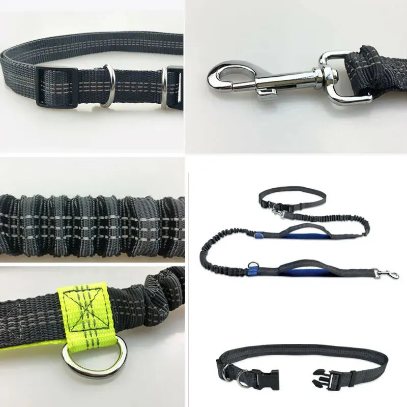 Reflective Leash Dog Running Belt