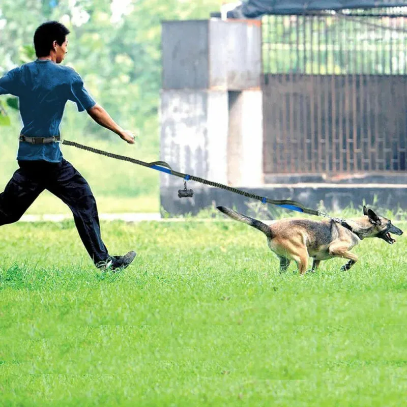 Reflective Leash Dog Running Belt