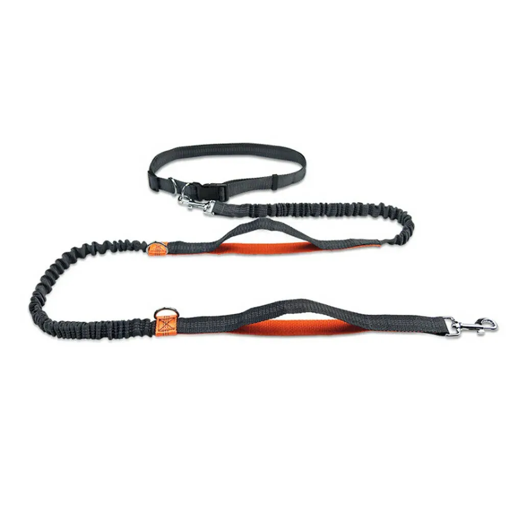 Reflective Leash Dog Running Belt