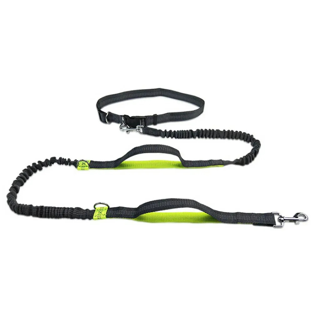 Reflective Leash Dog Running Belt